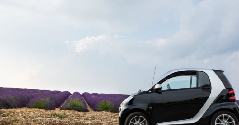Smart Systems - Black and Gray Hatchback in Front of Purple Plants